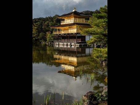Golden Palace - Kyoto