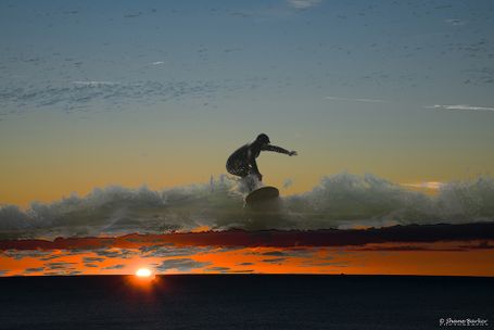 Night Surfer
