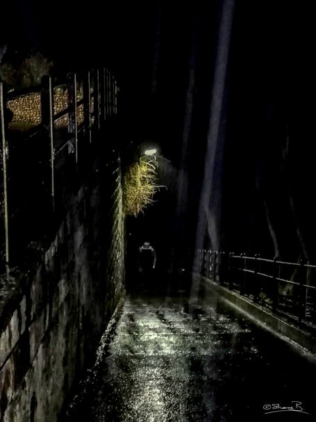 Out of the Darkness